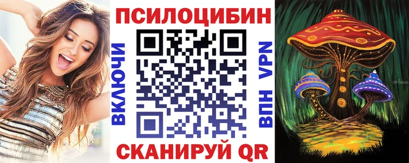 цена наркотик  Навашино  Псилоцибиновые грибы прущие грибы 